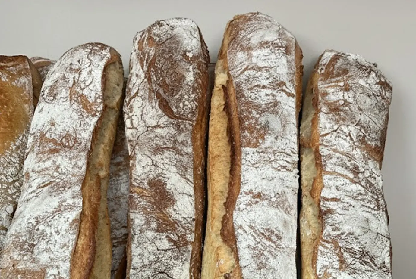 Alignement de pains rustiques à la croûte bien dorée, recouverts d’un léger voile de farine, avec un aspect craquelé caractéristique de la cuisson au four traditionnel.